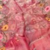 Banarasi tissue organza saree