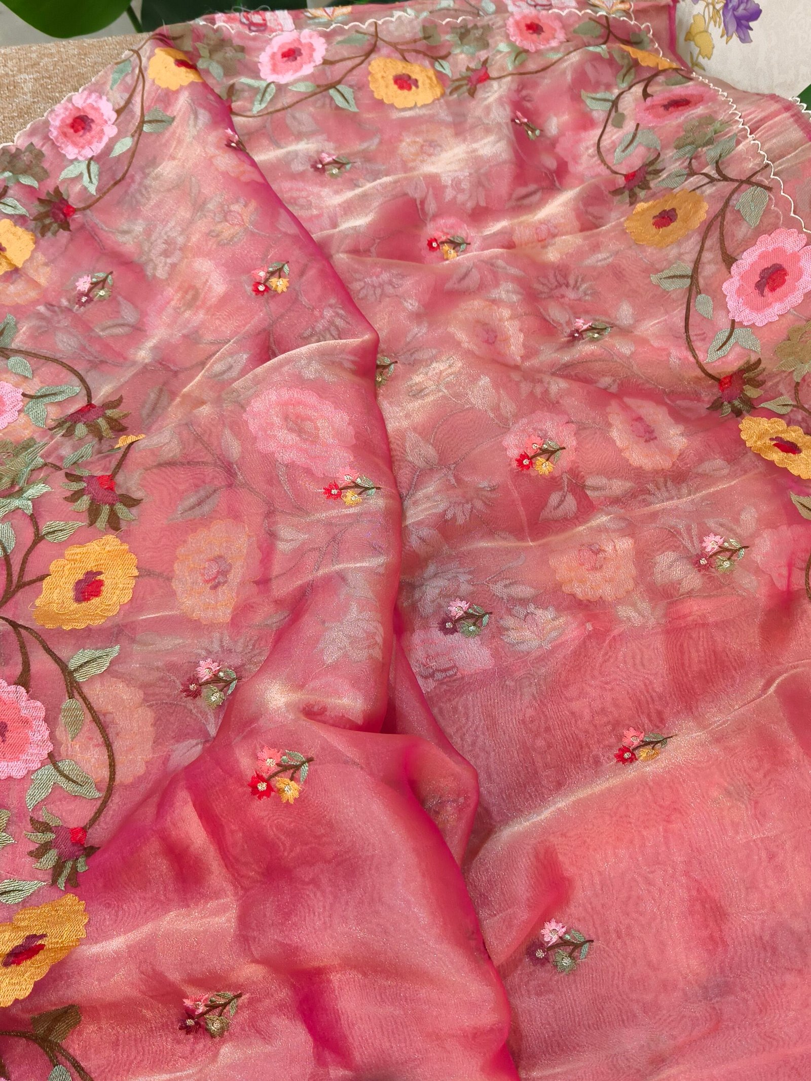 Banarasi tissue organza saree