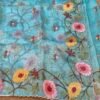 Banarasi tissue organza saree