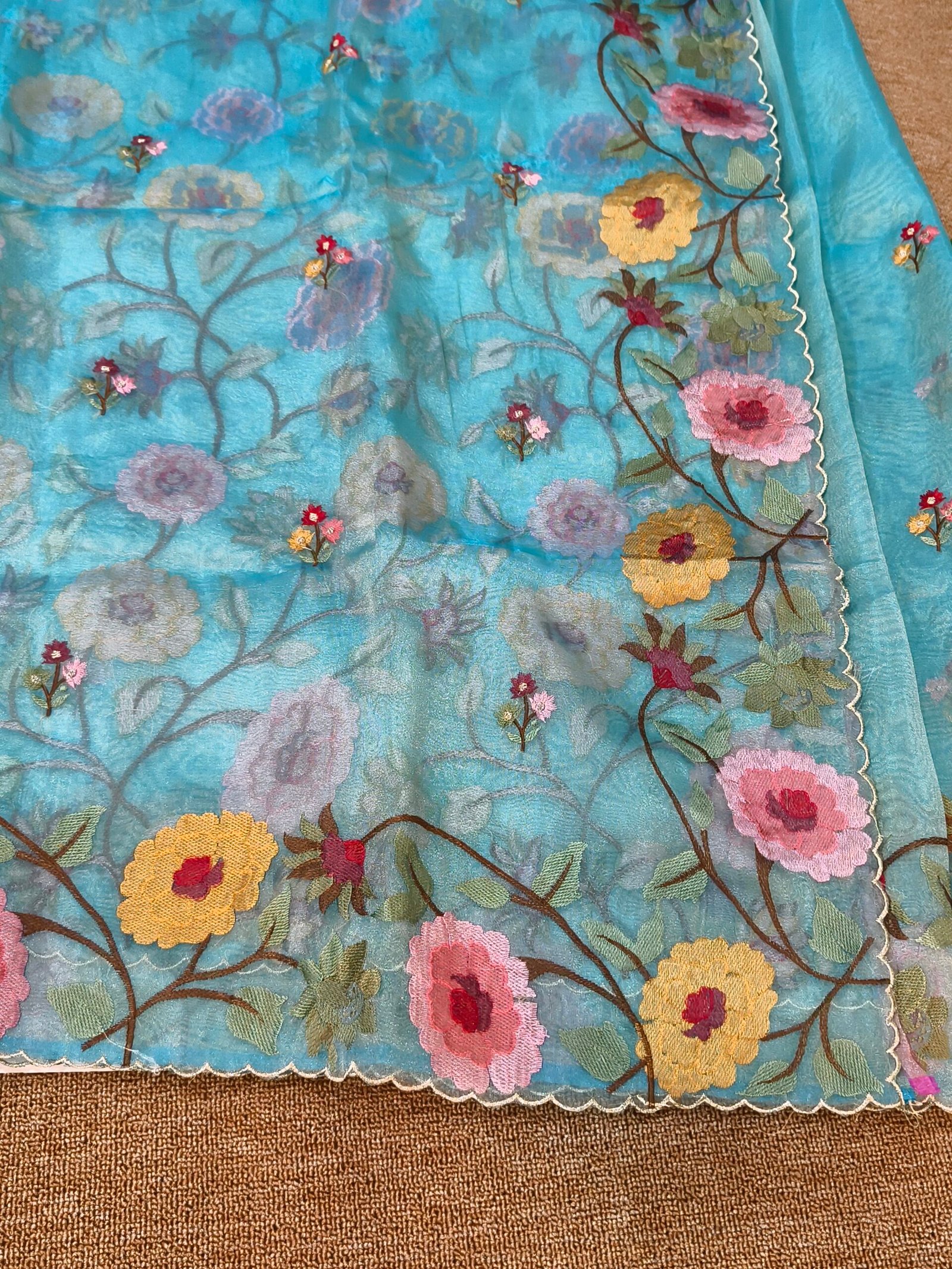 Banarasi tissue organza saree