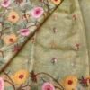 Banarasi tissue organza saree