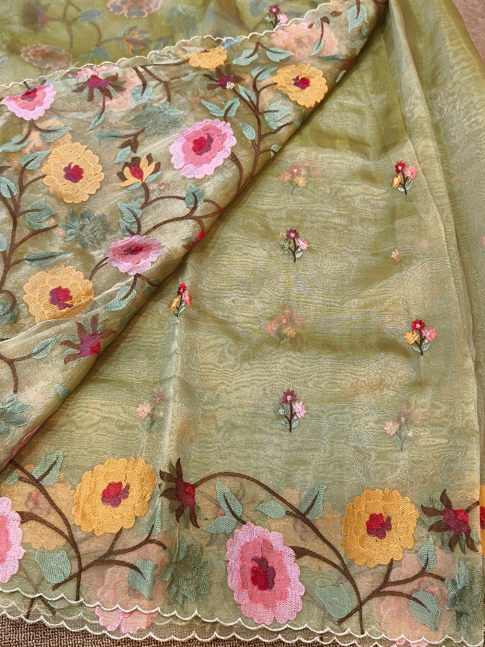 Banarasi tissue organza saree