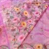 Banarasi tissue organza saree