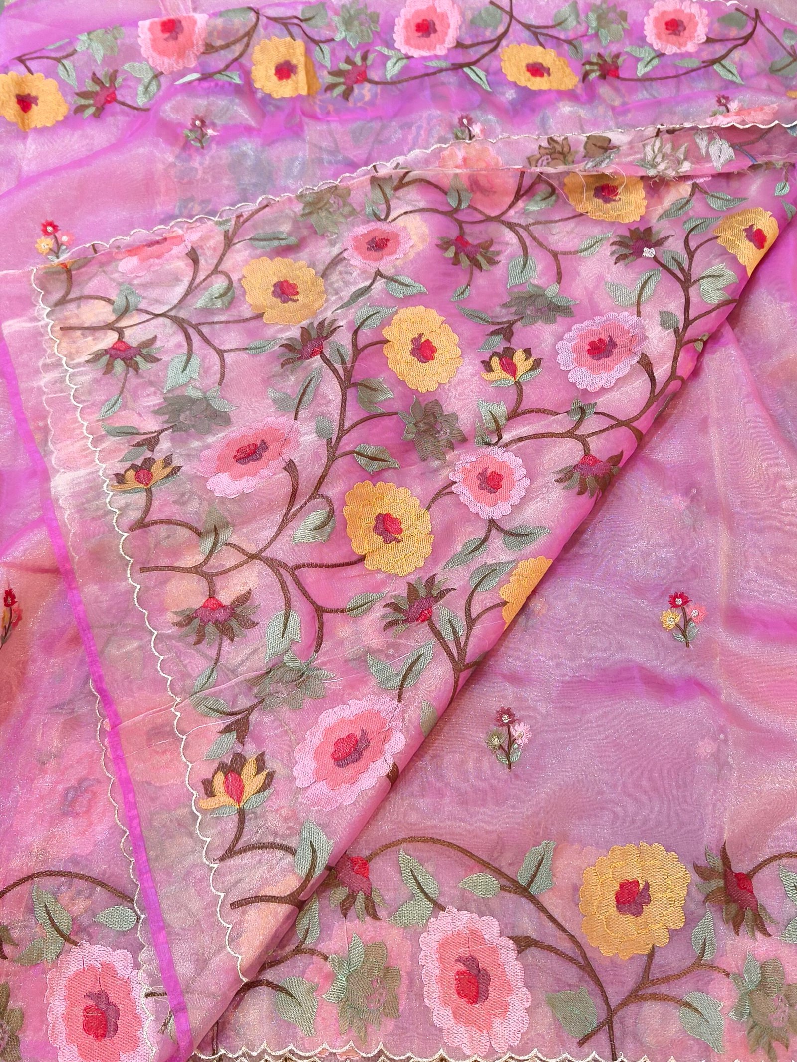 Banarasi tissue organza saree