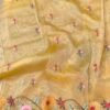 Banarasi tissue organza saree
