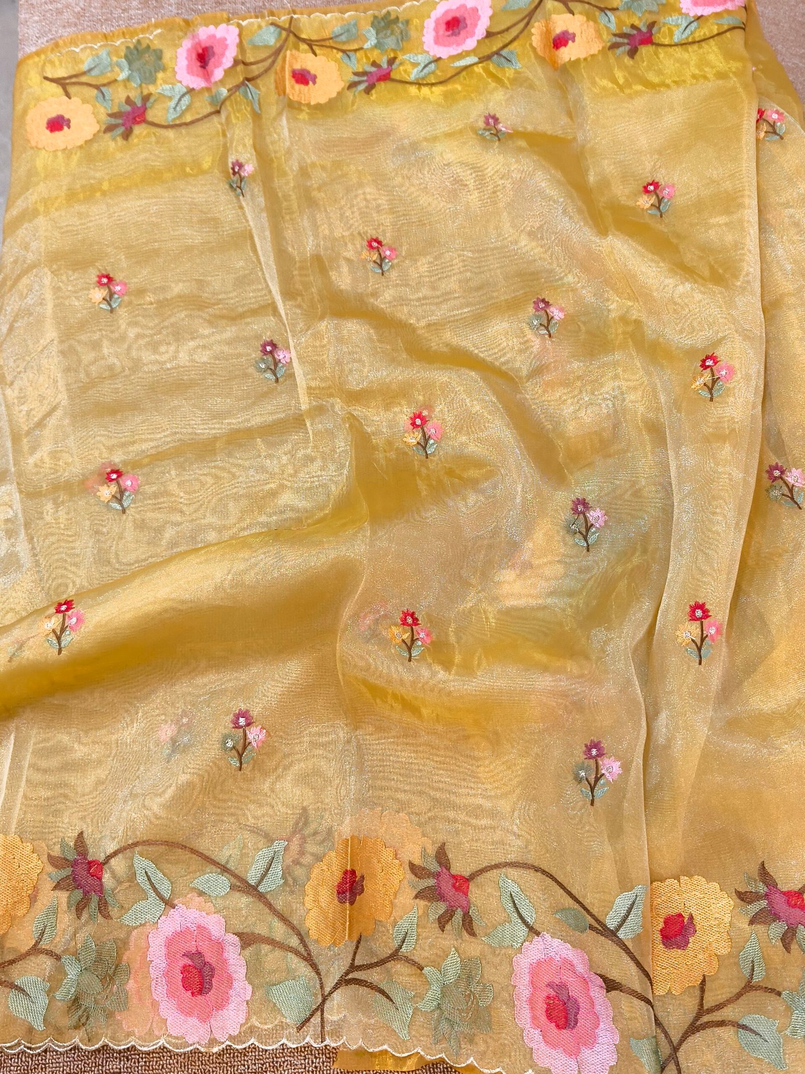 Banarasi tissue organza saree
